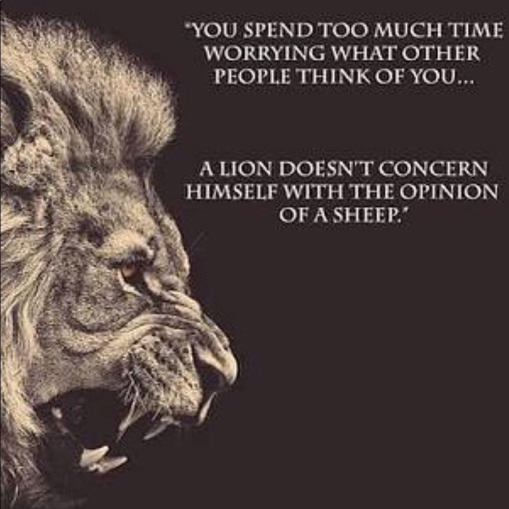 Boss Tips🦁From a Lion - Picture 13 of 16
